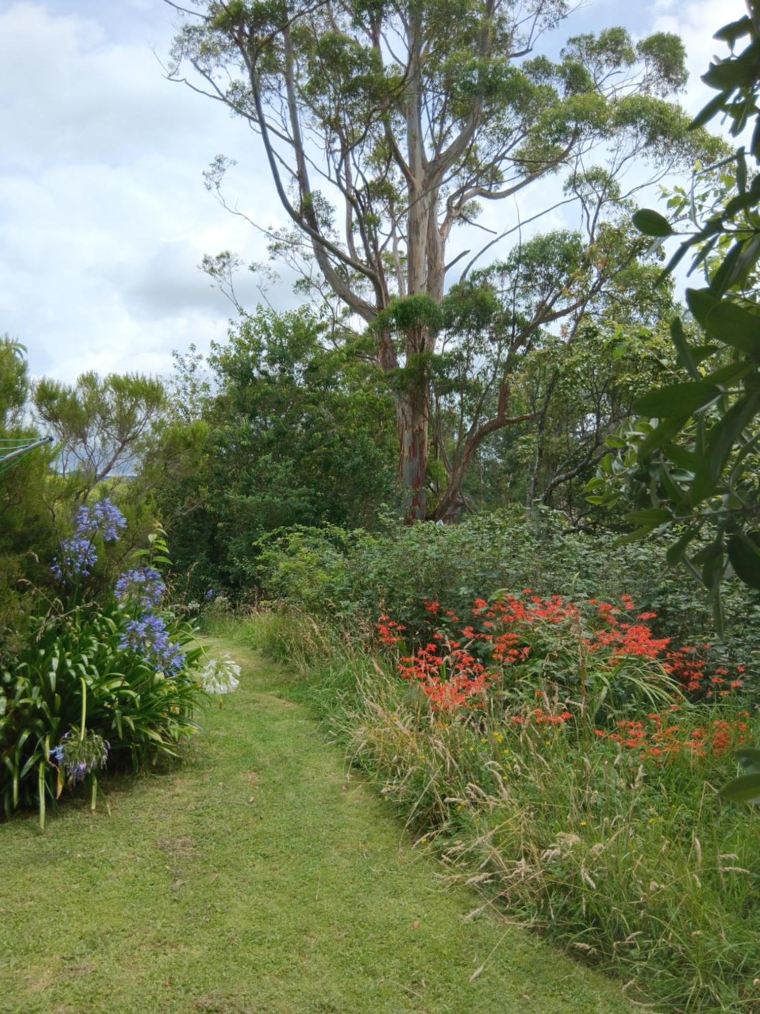 Purple Hen Country Lodge 卡蒂卡蒂 外观 照片
