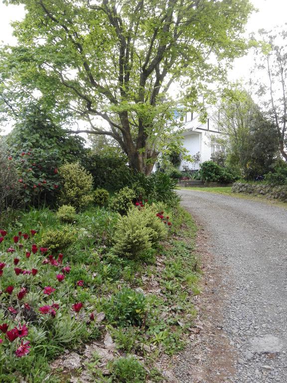 Purple Hen Country Lodge 卡蒂卡蒂 外观 照片